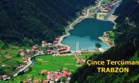 trabzon-cince-tercuman-cince-tercume-trabzon