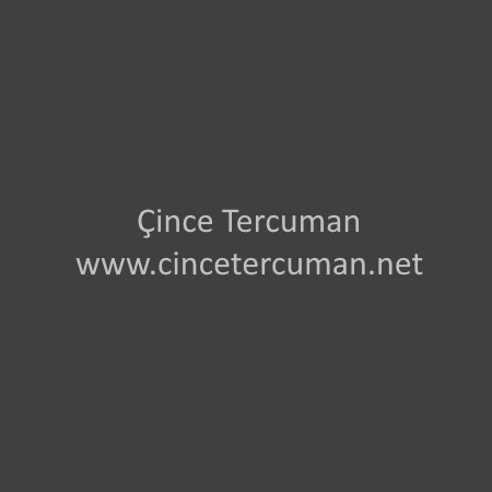 Samsun Organize Sanayi Bölgesi makine kurulumu Çince Tercümanlık hizmeti